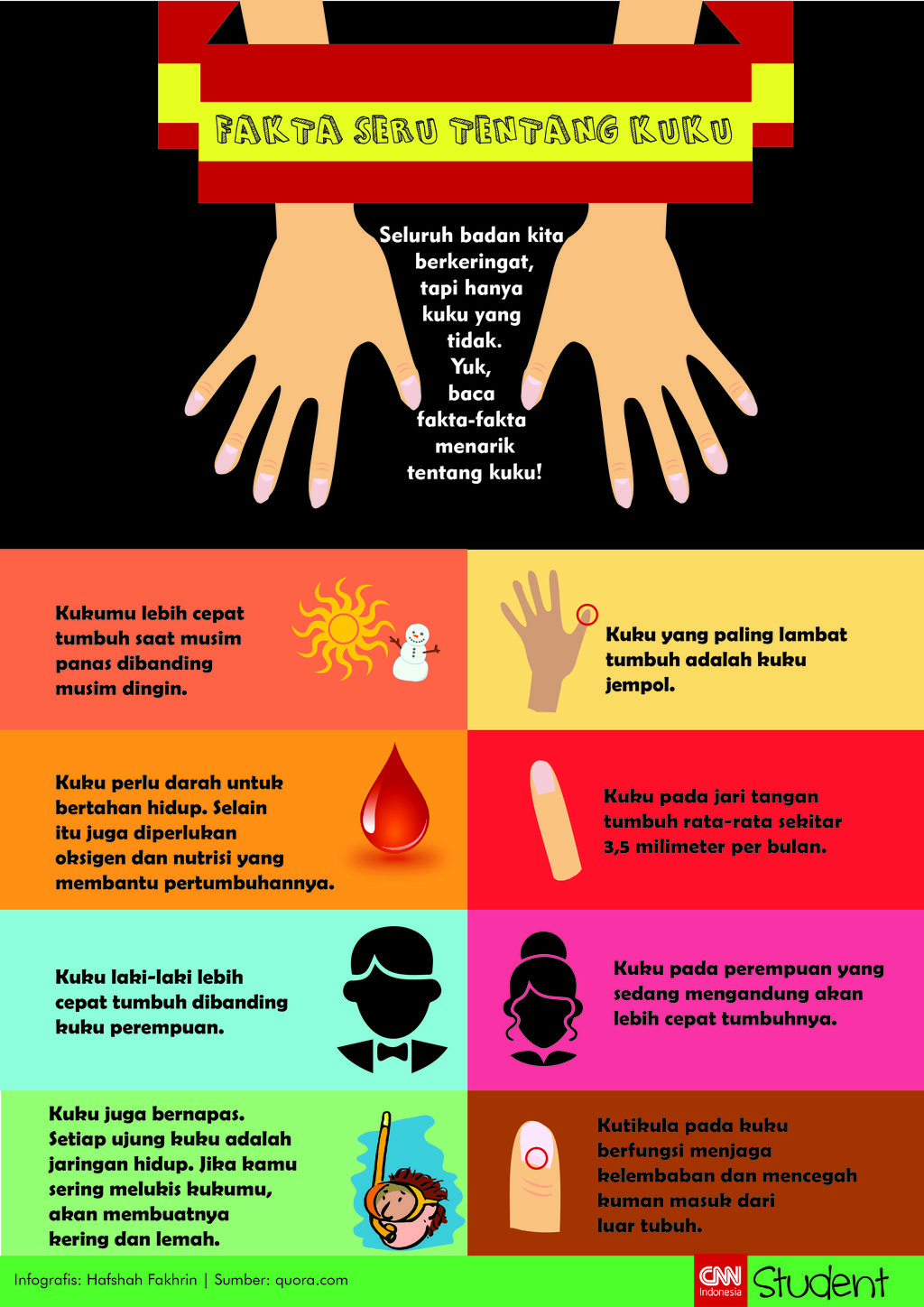Infografis Fakta-Fakta Soal Kuku (CNN Indonesia/Hafshah Fakhrin)