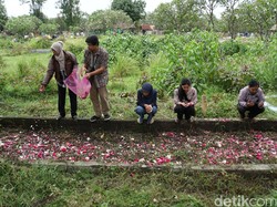 Komnas Perempuan Kunjungi Makam Massal Korban Tragedi 1998 di Solo