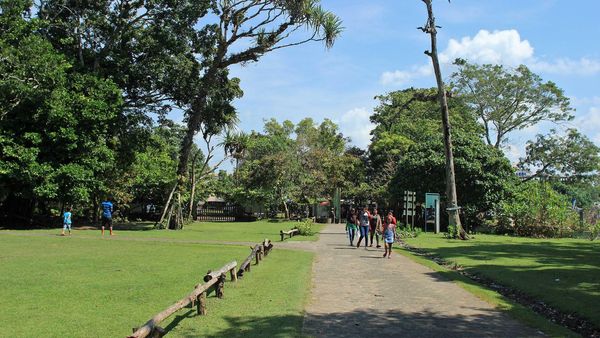 Potret Cagar Alam Pangandaran & Aneka Objek Wisatanya