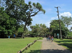 Bukan Cuma Pantai, Pangandaran Juga Punya Cagar Alam Hijau