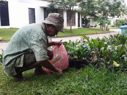 Cerita Kakek Manusia Cangkul yang Dua Pekan Tanpa Hasil Uang Sepeser