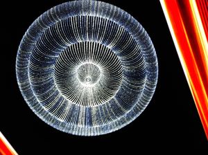 Bukan Paris, Ini Eiffel di Macau