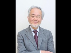 Ungkap Rahasia Kesehatan Sel, Profesor Jepang Ini Raih Nobel Kedokteran 2016