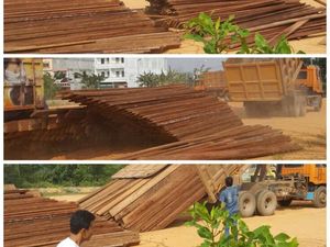 Pembalakan Liar di Cagar Biosfer di Siak Kecil Riau, 70 Kubik Kayu Diamankan