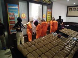 771 Kg Ganja yang Disita Bareskrim Rencananya akan Dijual di Lampung dan Jakarta