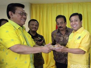 Ketua Dewan Pakar Golkar: Pencekalan Novanto Hal Biasa