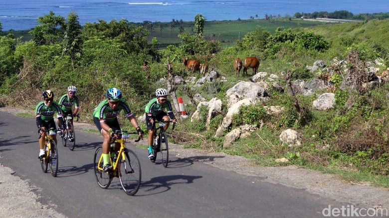 Gowes Asik Bareng GFNY Indonesia di Lombok Gran Fondo New York (GFNY) Indonesia sudah usai digelar Minggu, 2 Oktober. 600 Peserta mengawali gowes dari pinggir pantai di Senggingi melalui Bukit Jangkih dan Pusuk Pass dengan panorama yang eksotis.