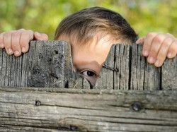 Ada Orang di Dunia yang Tak Tahu Malu, Pakar Ungkap Alasannya