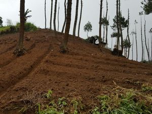 Polda Jabar Mencari Tahu Siapa di Balik Petani yang Merusak Hutan Lindung di Garut