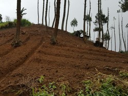 Polda Jabar Mencari Tahu Siapa di Balik Petani yang Merusak Hutan Lindung di Garut