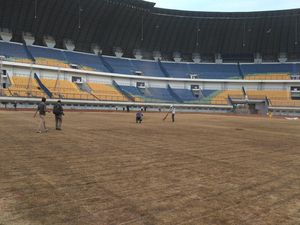 25 Persen Rumput Lapangan Stadion GBLA yang Rusak  akan Diganti