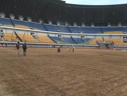 25 Persen Rumput Lapangan Stadion GBLA yang Rusak  akan Diganti