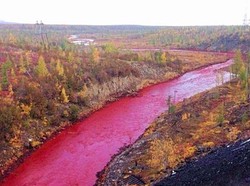 Misteri Sungai yang Berwarna Merah Darah di Rusia