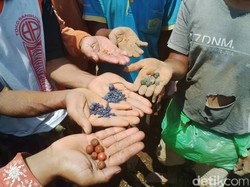 Manik-manik Kuno dari Glenmore Berasal dari Zaman Megalitikum