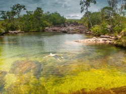 Inikah Sungai Paling Ajaib di Dunia?