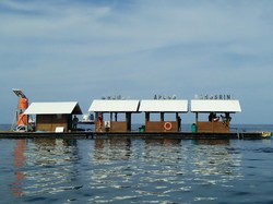 Pesona Bangsring di Banyuwangi yang Wakili Indonesia di Penghargaan UNWTO