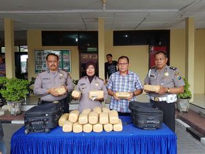 Petugas Kebersihan Kaget Temukan Ganja 25 Kg di Pool Bus di Medan