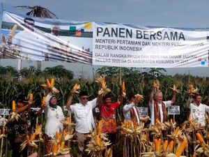 Duet Mentan dan Mendag Panen Jagung dan Beri Traktor di Kebumen