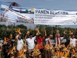 Duet Mentan dan Mendag Panen Jagung dan Beri Traktor di Kebumen