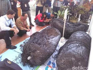 Satelit Soviet Mau Jatuh, Ini Dampak Kejatuhan Sampah Antariksa Satelit Soviet Mau Jatuh, Ini Dampak Kejatuhan Sampah Antariksa