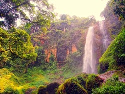 Siapa Sangka, Ada Air Terjun Seindah Ini di Purworejo