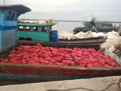 Kronologi 8 Petugas Bea Cukai Taklukkan 75 Orang Penyelundup Bawang