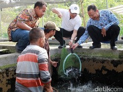 Ini Upaya Banyuwangi Untuk Tekan Inflasi Hingga Capai Nilai Terendah