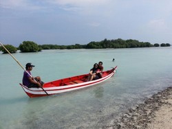 Seru! Keliling Naik Perahu di Hutan Mangrove Pulau Pari