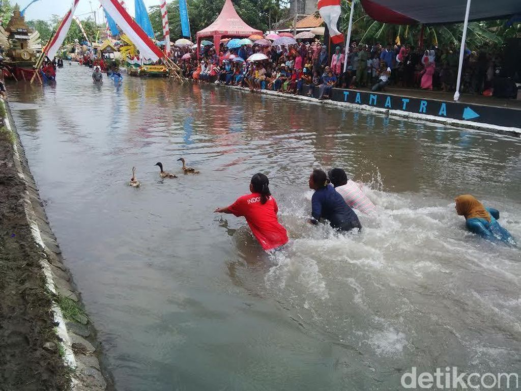 Makna Patriotis dari Lomba Tangkap Bebek di Hari Jadi Luwu ke-755 Makna Patriotis dari Lomba Tangkap Bebek di Hari Jadi Luwu ke-755