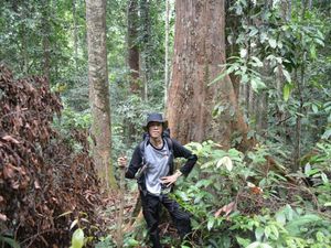 Jelajah Asyik Hutan Kalimantan Tengah dari Desa Lopus Jelajah Asyik Hutan Kalimantan Tengah dari Desa Lopus