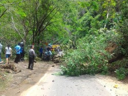 Jalan Trenggalek-Ponorogo Kembali Longsor