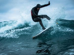 Paus Pembunuh Kagetkan Peselancar di Norwegia Paus Pembunuh Kagetkan Peselancar di Norwegia