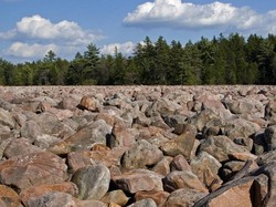 Ajaib! Bukan Padang Rumput, Tapi Padang Batu di Amerika