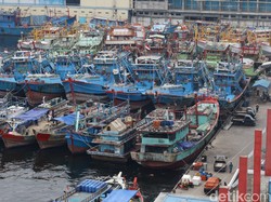 333 Pelabuhan RI Dinilai Tak Layak, Siap Dirombak