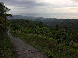 Ini Bukit Indah Untuk Nikmati Panorama Lombok
