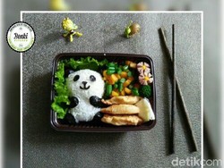 Bisnis Kuliner Bento untuk Anak Ini Raup Omzet Hingga Rp 20 Juta/Bulan