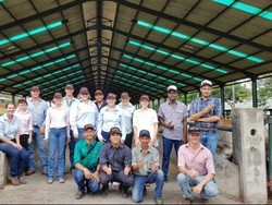 Peternak Australia Kunjungi Fasilitas Industri Sapi di Indonesia