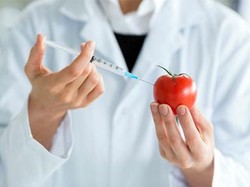 1 Cara Aneh Untuk Menurunkan Berat Badan? Rahasia Gen Obesitas Telah Ditemukan