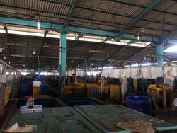 Sepinya Pusat Pelelangan Ikan Muara Baru karena Mogok Massal Pedagang