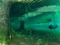 Bukan Menyelam di Laut, Ini Menyelam di Taman yang Tenggelam