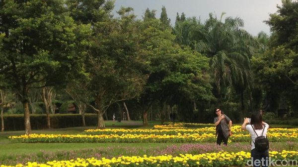 Lihat Foto Ini, Pasti Ingin Liburan ke Cianjur
