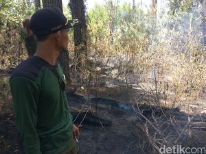20 Hektare Hutan Tahura di Aceh Besar Terbakar