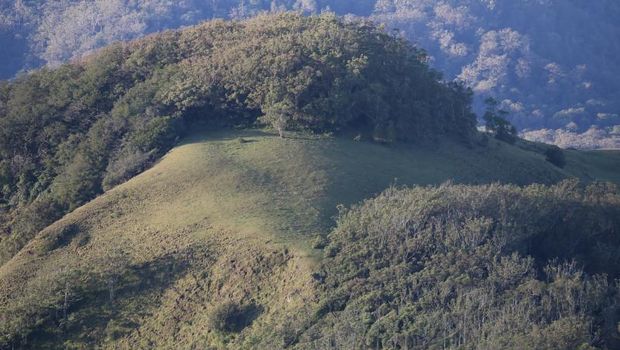 Gunung Mutis tertinggi di NTT