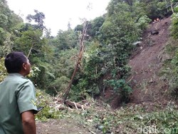 Kawasan Hutan Wisata Telogo Muncar di Lereng Merapi Ditutup Akibat Longsor