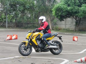 Ada Hewan Tiba-tiba Muncul di Jalan, Apa yang Harus Dilakukan Pemotor?