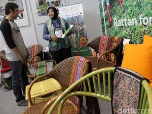 Rotan Diselundupkan ke China, Industri Mebel RI Kurang Bahan Baku Rotan Diselundupkan ke China, Industri Mebel RI Kurang Bahan Baku