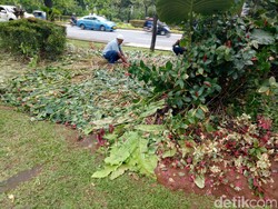 Kondisi Taman Depan Balai Kota Pasca Demo Besar: Rusak Terinjak-injak