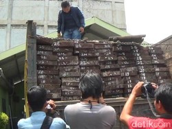 Denpom Pekanbaru Dalami Keterlibatan Anggota dalam Illegal Logging di Pelalawan