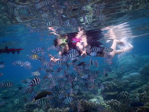 Weekend Ceria di Karimunjawa