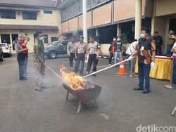 Polres Jakbar Musnahkan Belasan Kilogram Ganja dan Sabu
